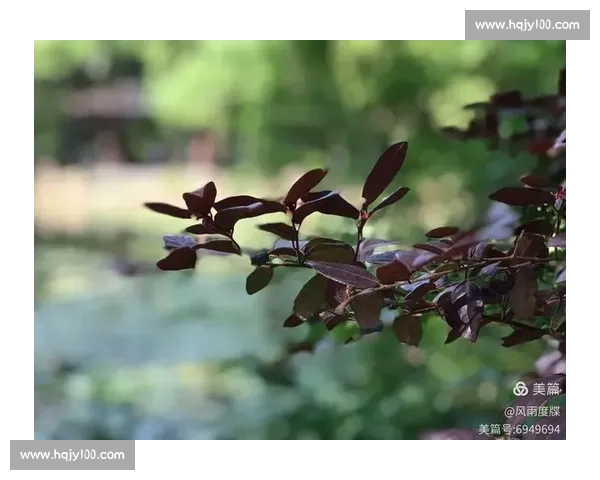 尘埃落定之后的时代回望与人性命运的深层叙事历史记忆与精神原乡的复杂交织