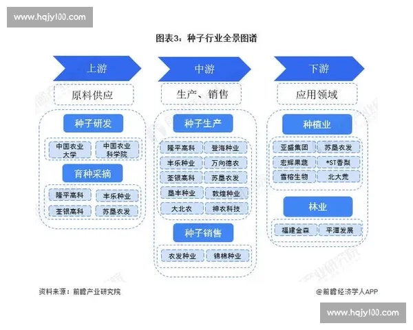 中游球队逆袭之路与联赛格局新变局解析背后的战术博弈与未来挑战展望
